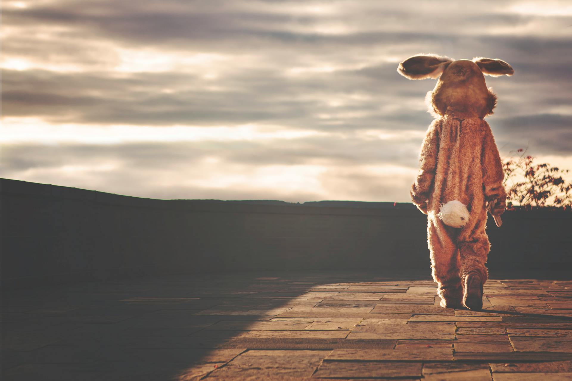 Like a Bunny in a Blazing Carrot Field—Time to Rethink the Game!
