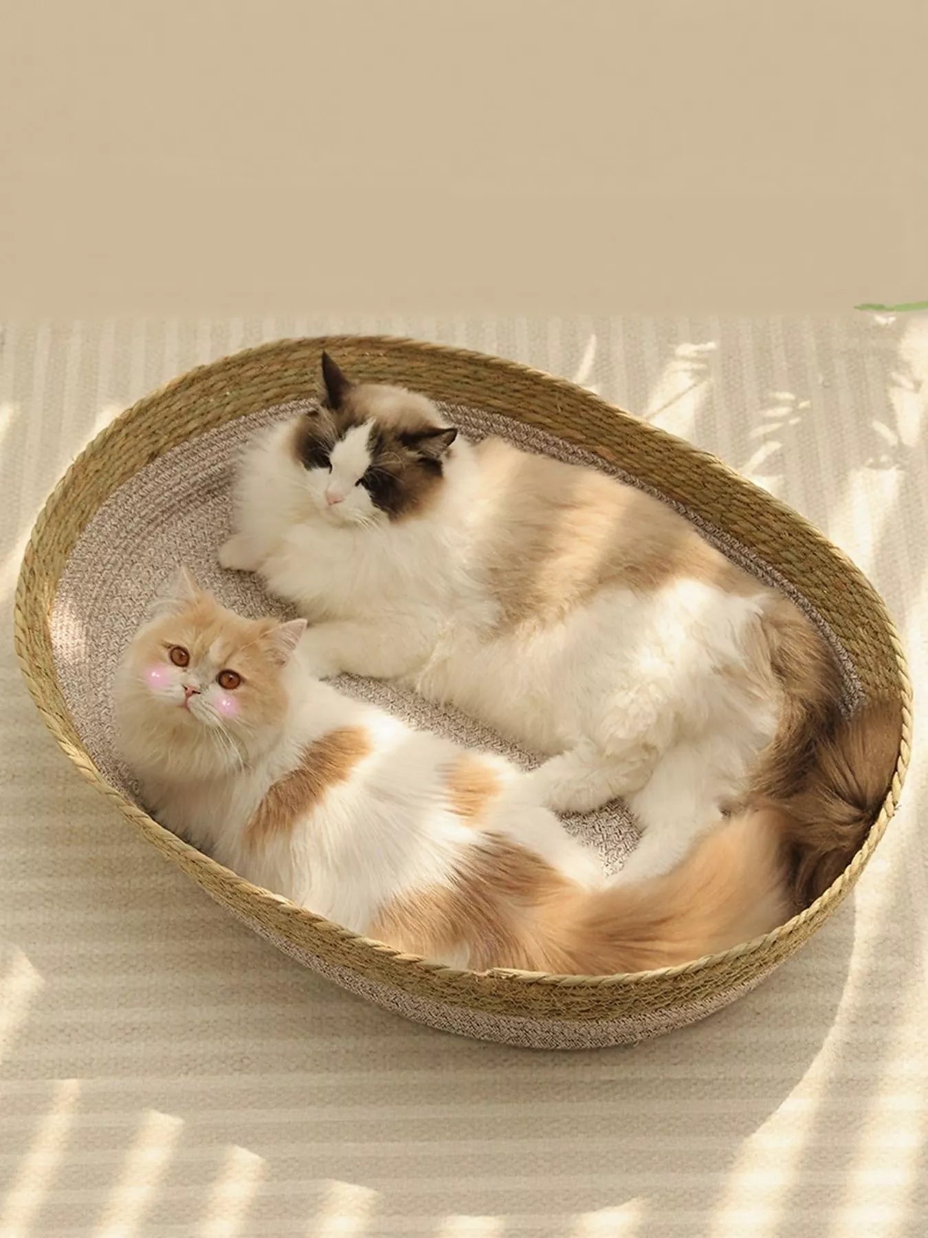 001894d5-49f8-4b50-bf37-c75f11827245-Max-Origin