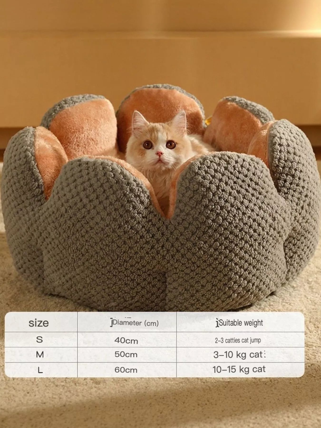 71cc7950-1a72-4b49-9a4f-a80face85ec4-Max-Origin