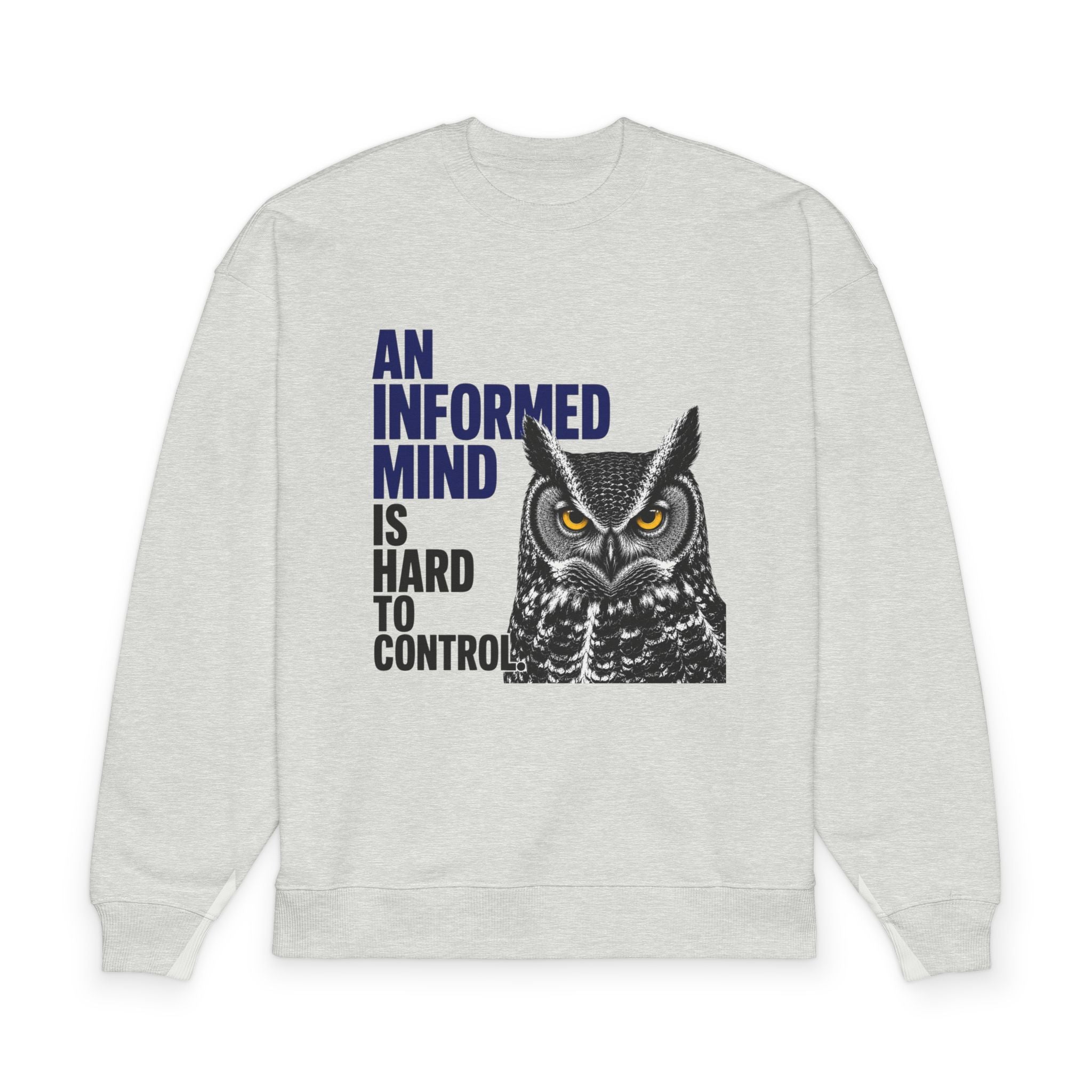 An Informed Mind Oversized Organic Crewneck