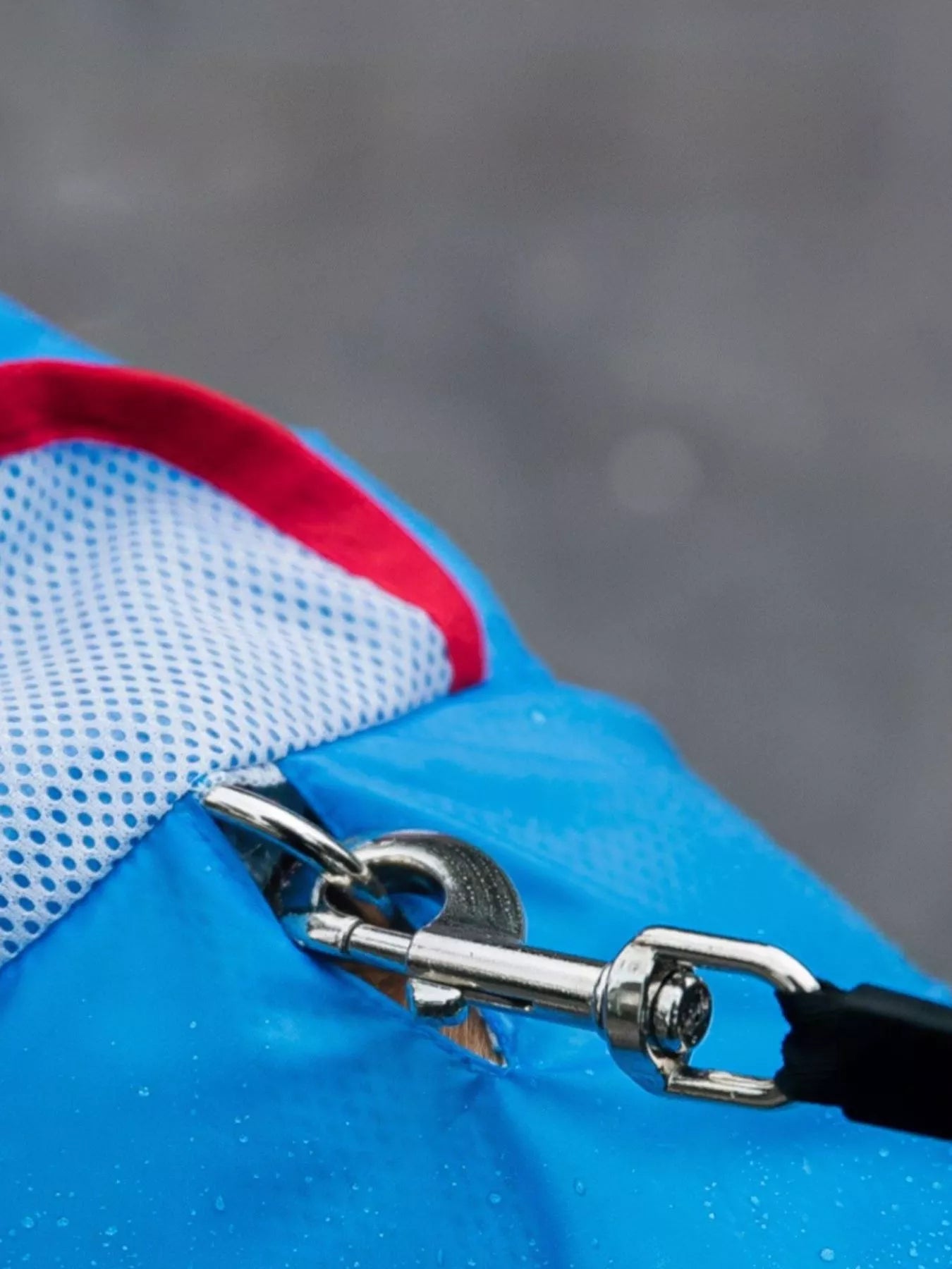 7cf83d13-cf54-4a1c-847b-aba8b14f9e61-Max-Origin